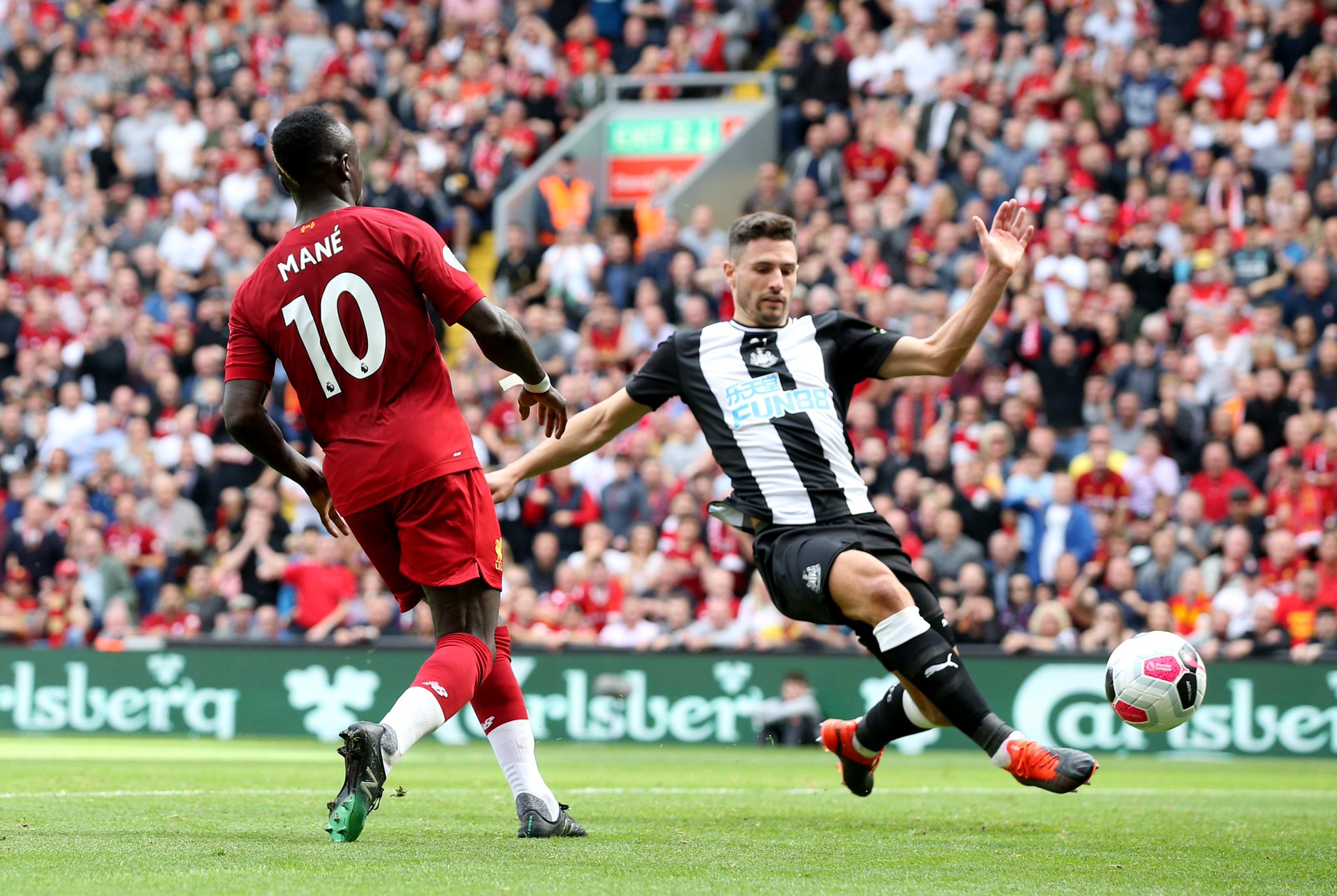 场的宠儿 场的宠儿